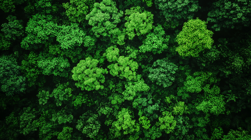 Papier peint mur végétal Plongée au cœur d'une nature luxuriante