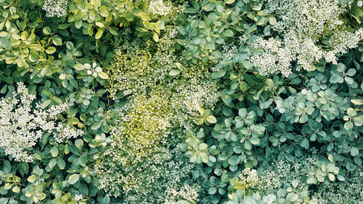 Papier peint mur végétal Un mélange apaisant de verts et de blancs