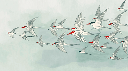 Papier peint oiseaux en vol Motif de hérons stylisés sur fond pastel