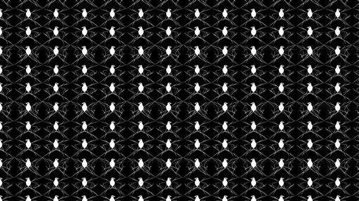 Papier peint oiseaux et toile d'araignée Motif graphique élégant en noir et blanc