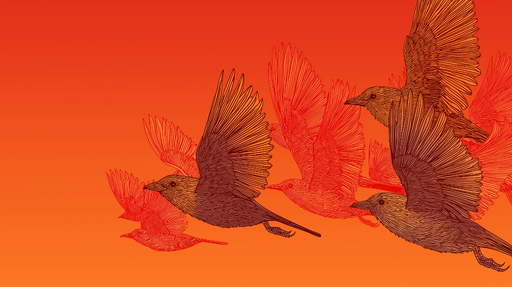 Papier peint oiseaux Oiseaux en vol sur un dégradé rouge-orange