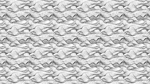 Papier peint ondulations Motif abstrait en noir et blanc sur fond clair