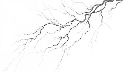 Papier peint orage Lignes fluides en noir et blanc