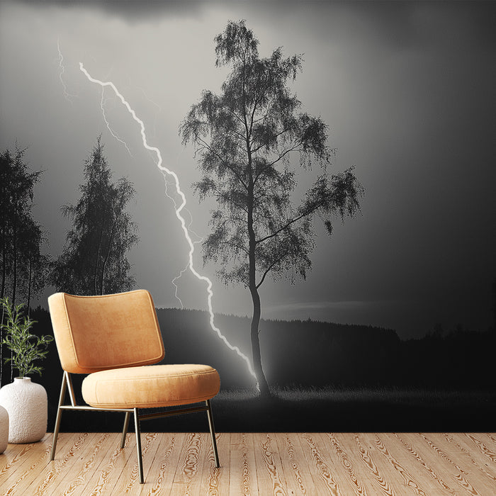 Papier peint orage | Silhouette d'arbres sous un ciel orageux