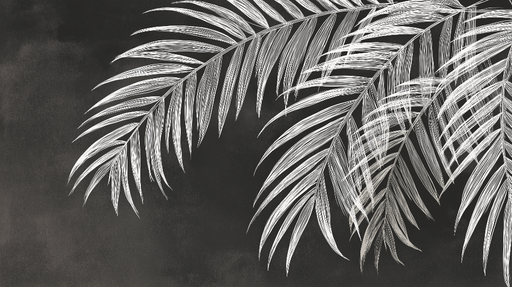 Papier peint palmier blanc Feuilles de palmier dessinées avec élégance sur fond noir