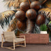 Une pièce moderne avec un papier peint tropical représentant des noix de coco et des palmiers aux teintes brunes et dorées, créant une ambiance chaleureuse et accueillante.