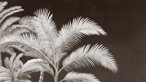 Papier peint palmiers Élégantes feuilles de palmier blanches sur fond sombre