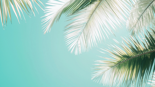 Papier peint palmiers Feuilles de palmier sur fond aquatique léger