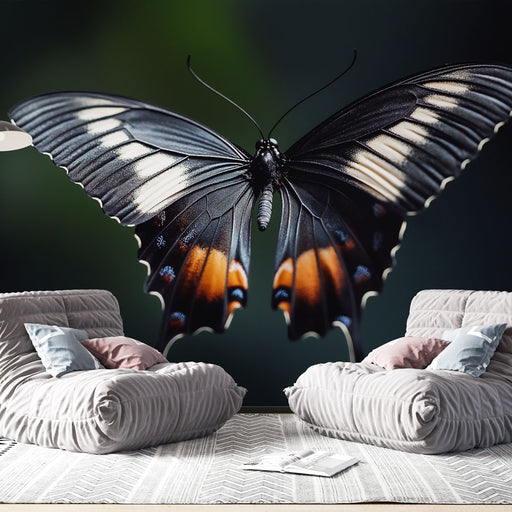 Papier peint papillon noir aux ailes colorées pour décoration murale moderne