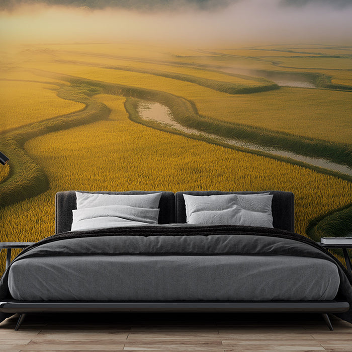 Papier peint panoramique rizières dorées dans la brume matinale pour chambre moderne