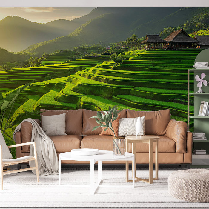Papier peint panoramique paysages de rizières verdoyantes sous la lumière douce du soleil pour salon moderne