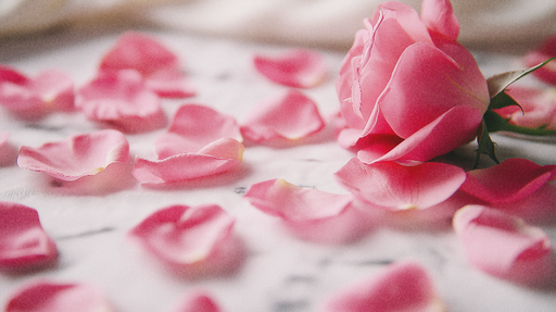 Papier peint pétales de rose Élégantes roses et douceur pastel