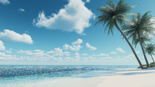 Papier peint plage tropicale Côte et palmiers sous un ciel clair