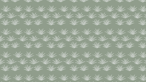 Papier peint plantes grasses Motif de succulentes blanches sur fond vert