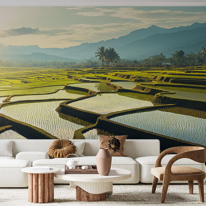 Papier peint paysage de rizières en terrasses au lever du soleil pour salon moderne