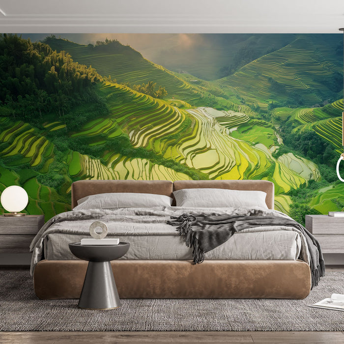 Papier peint paysage de rizières en terrasses verdoyantes pour chambre moderne