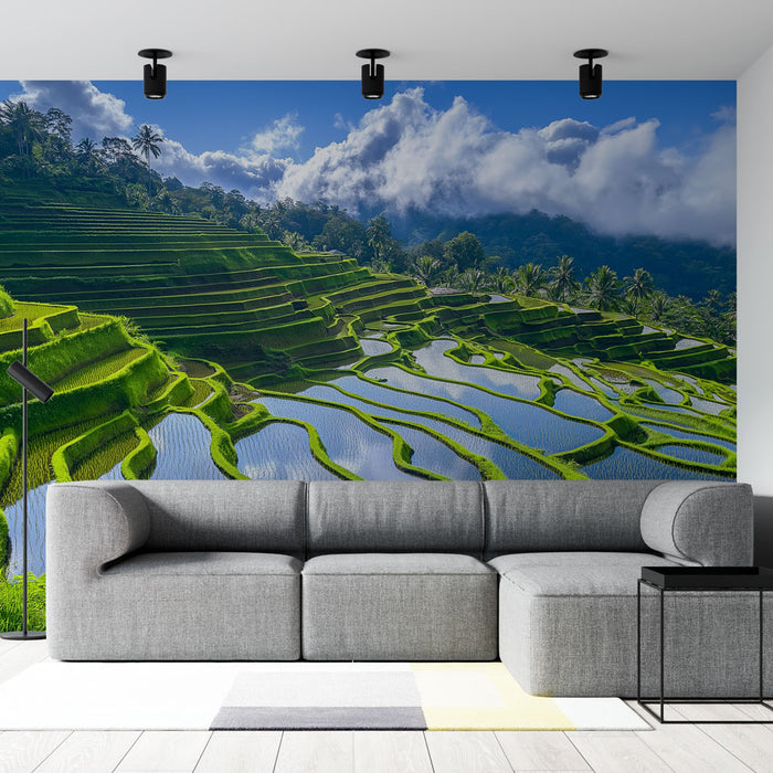 Papier peint panoramique rizières verdoyantes avec reflets d'eau pour salon moderne