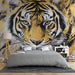 Papier peint tigre majestueux avec accents dorés pour chambre moderne et élégante