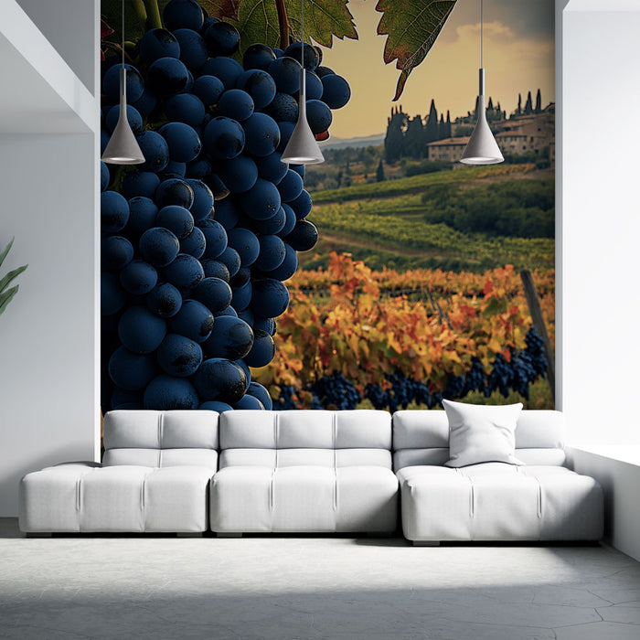 Papier peint vignoble | Grappes de raisin noir dans un paysage pittoresque