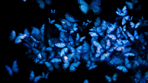 Papier peint papillons bleus Éclat lumineux et enchanteur
