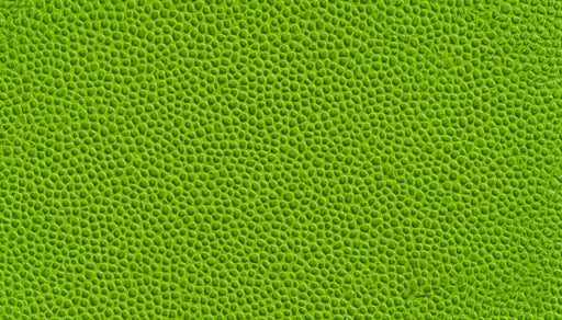 Motif Texturé Vert Apparence de Peau de Reptile