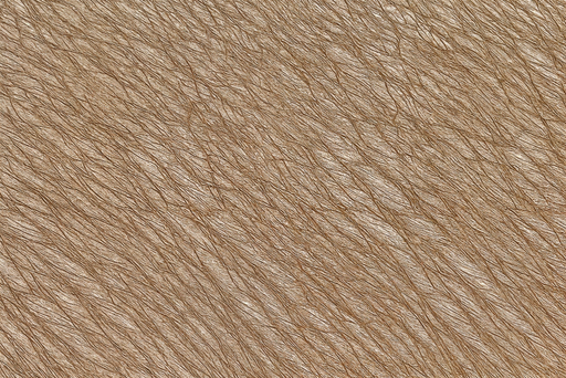 Papier peint texture poils Effet naturel et chaleureux