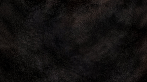 Papier peint peau animale Noir Élégant