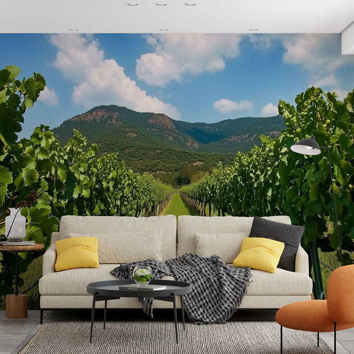 Papier peint vignoble | Paysage pittoresque de vignoble verdoyant